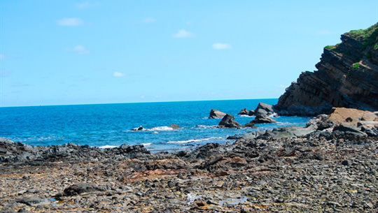 Bai-da-Co-to-Quang-Ninh