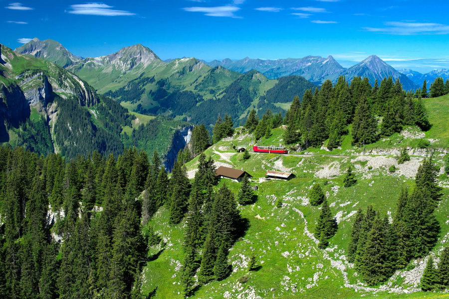 Schynige Platte