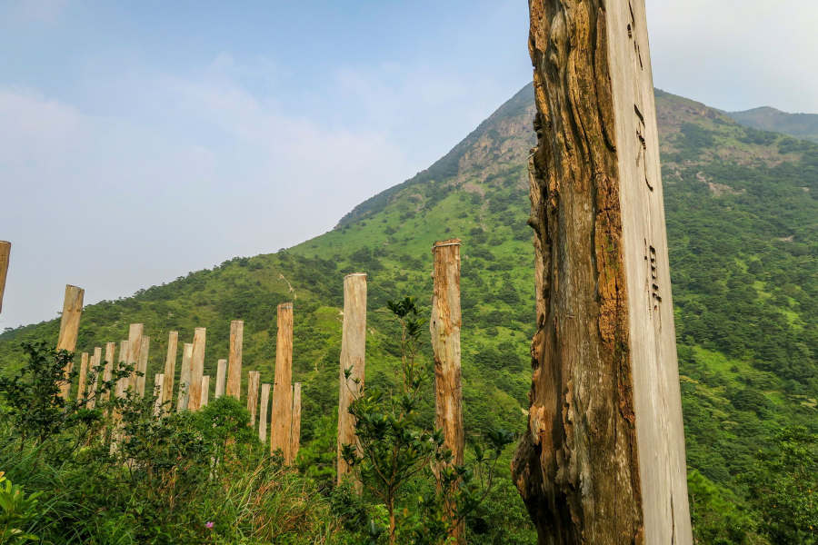Đường lên đỉnh Lantau
