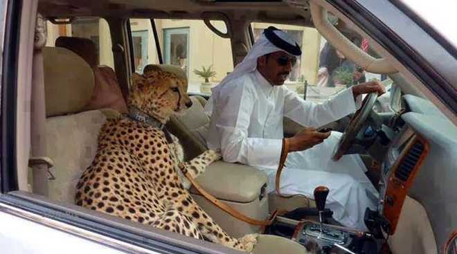 Những hình ảnh &quot;sốc tận óc&quot; bạn chỉ có thể thấy ở Dubai - nơi đội tuyển Việt Nam đang chinh chiến trong khuôn khổ vòng loại World Cup 2022 - Ảnh 8.