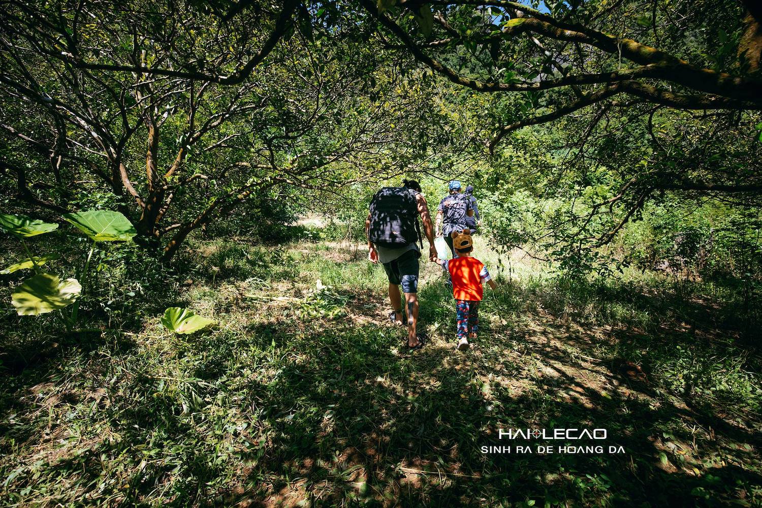 cau-be-22-thang-tuoi-cung-bo-trekking-rung-cat-ba-wetrekvn