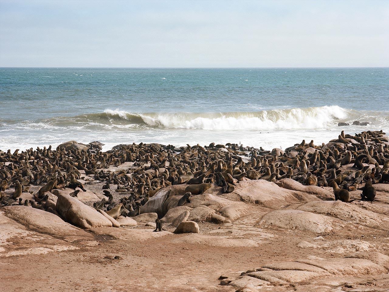 bo-bien-skeleton-kham-pha-bo-bien-nguy-hiem-nhat-the-gioi-wetrekvn