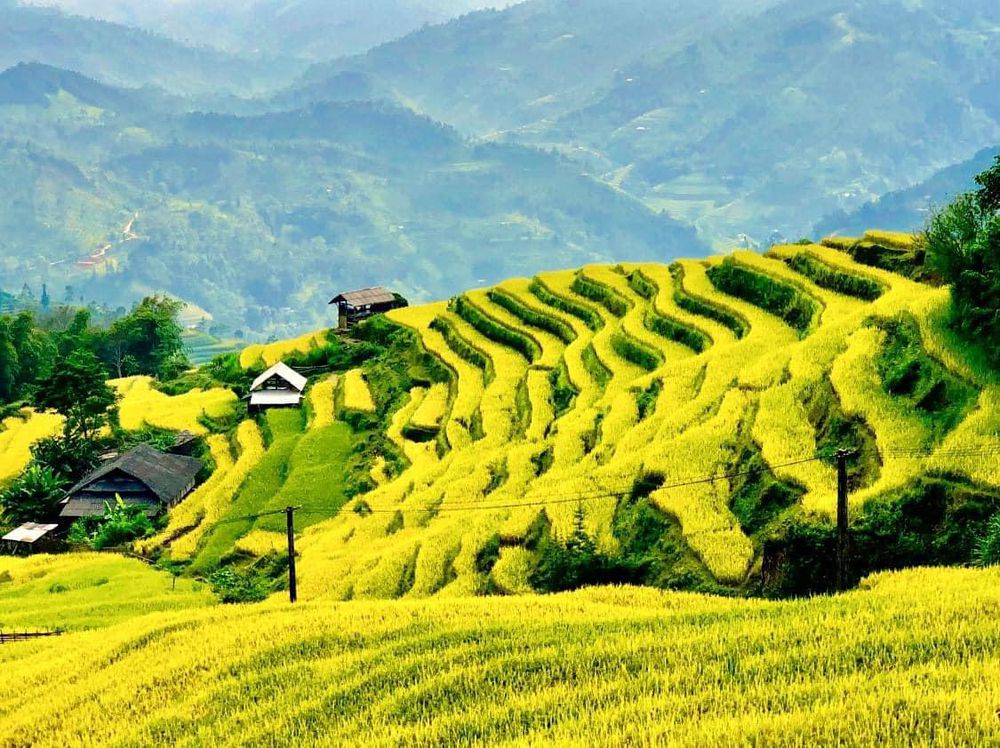 chieu-lau-thi-khu-rung-nguyen-so-tuyet-dep-vung-dong-bac-wetrekvn